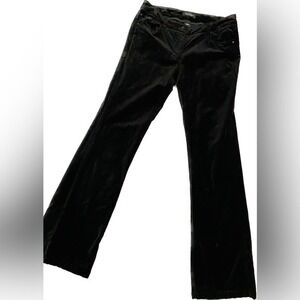 White House Black Market Blk Velvet Bootcut Pants Whimsy Goth  Size 8R